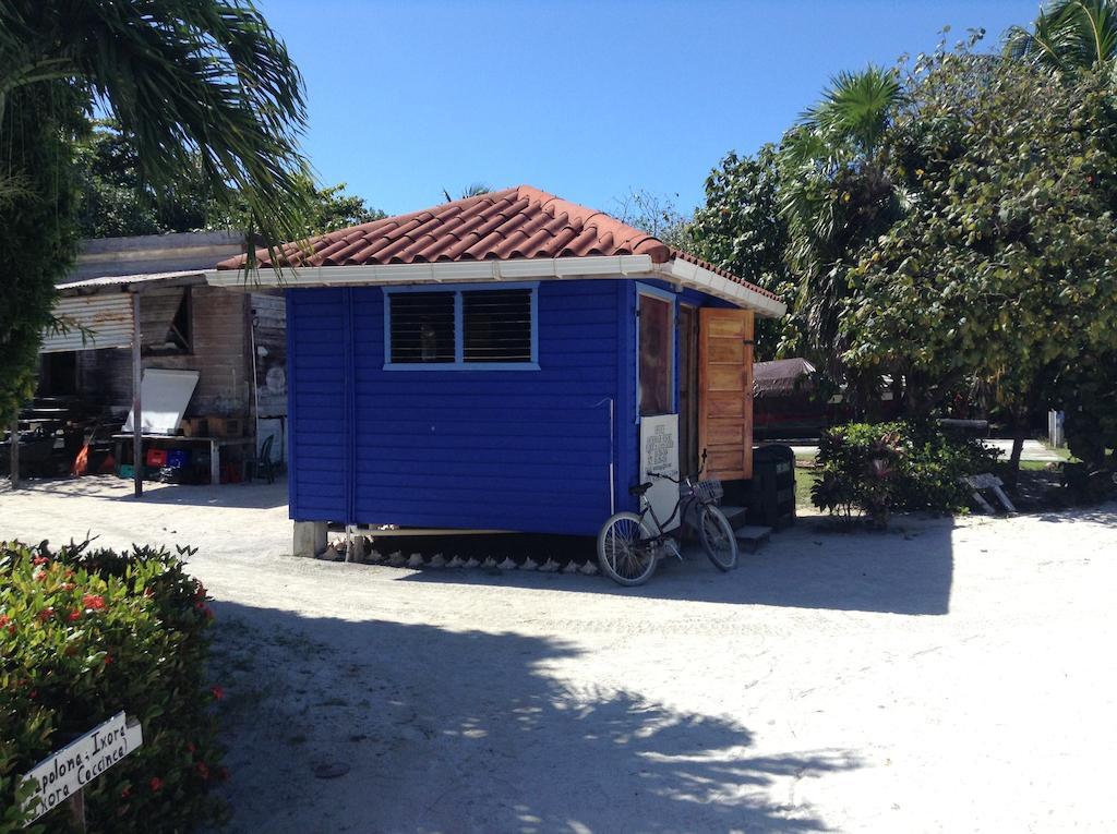 Anchorage Beach Resort Caye Caulker Eksteriør bilde