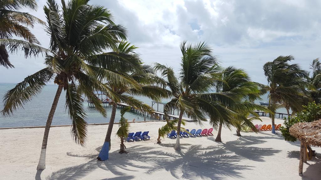 Anchorage Beach Resort Caye Caulker Eksteriør bilde